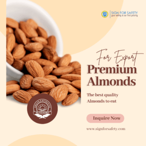 Premium Almonds from India