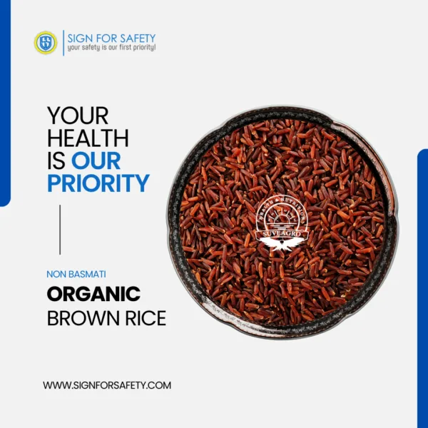 Brown Organic Rice (Non-Basmati) - Quality product from India