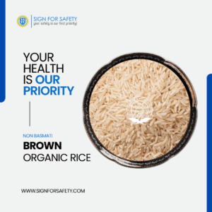 Organic Brown Rice (Non-Basmati) - Quality product from India