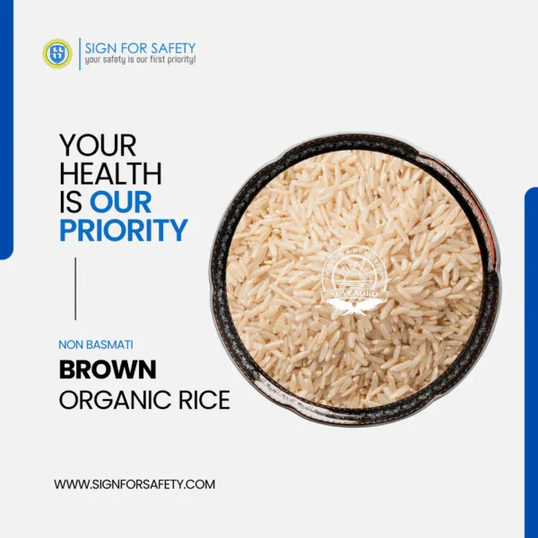 Organic Brown Rice (Non-Basmati) - Quality product from India