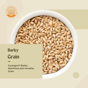 Premium Barley Grain from Suveagro®