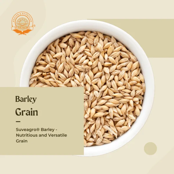 Premium Barley Grain from Suveagro®