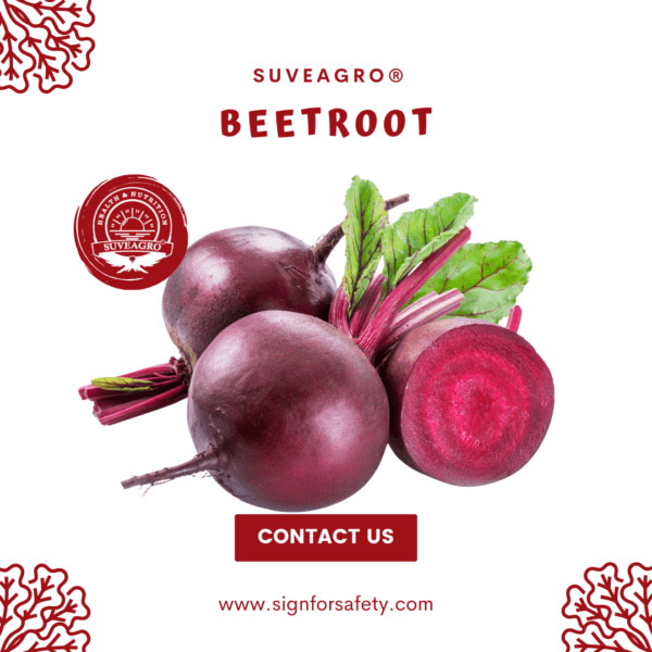 Fresh vibrant Beetroot, nutrient-rich and perfect for cooking, salads, and juices.