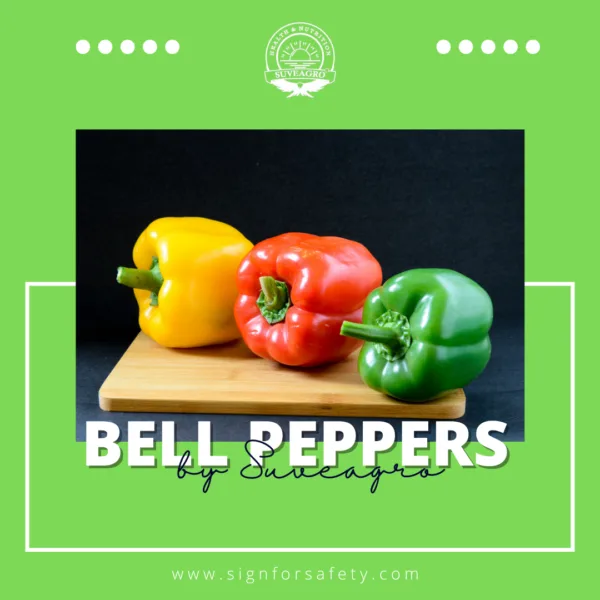 Fresh bell peppers in red, green, and yellow, perfect for cooking and salads.