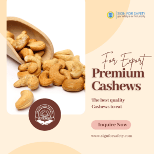 Premium Cashew Nuts from India