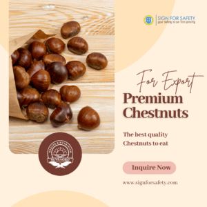 Premium Chestnuts from India