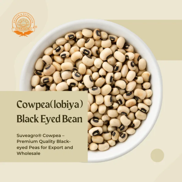 Suveagro® Black Eyed Beans (Cow Pea) displayed in a bowl, highlighting their oval shape and distinctive black spot.