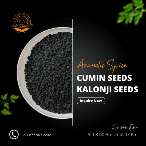 Cumin Seeds (Kalonji) bulk supply for enhancing flavor in various dishes.