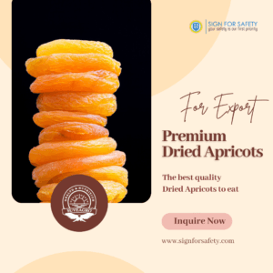 Premium Dried Apricots from India