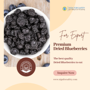 Buy Premium Dried Blueberries from Suveagro®