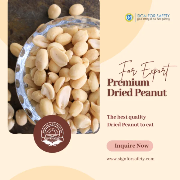 Premium Dried Peanuts from India