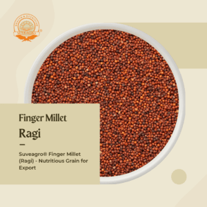 Finger Millet (Ragi) Grain from Suveagro® for Healthy Cooking