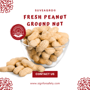 Fresh Peanuts from India