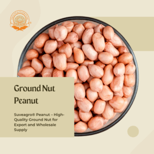 Ground Nut/Peanut Oil Seeds from India