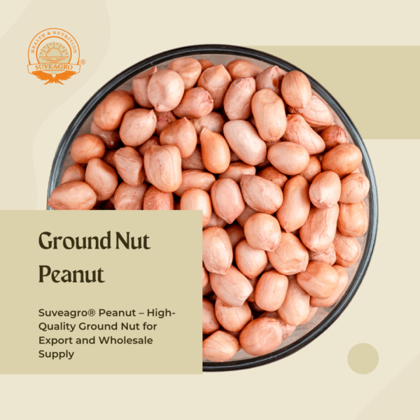 Ground Nut/Peanut Oil Seeds from India