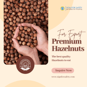 Premium Hazelnuts from India