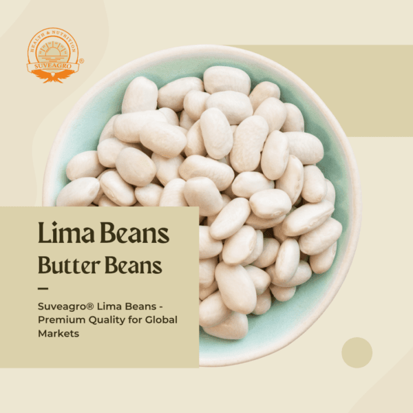 Suveagro® Lima Beans displayed in a bowl, showcasing their smooth, creamy texture and light green color.