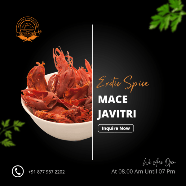 Mace (Javitri) - Aromatic Spice from Suveagro