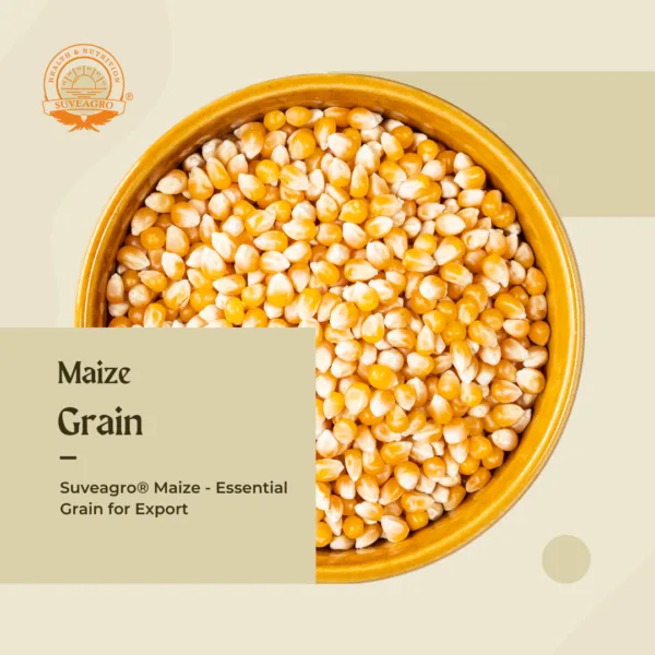 Premium Maize (Corn) from Suveagro® for Food and Feed Use