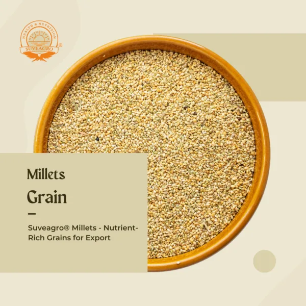 High-quality millets sourced from Suveagro® for export.