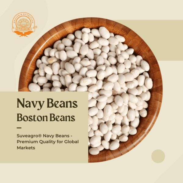 Suveagro® Navy Beans (Haricot Beans) in a bowl, showing their small, smooth, white appearance.