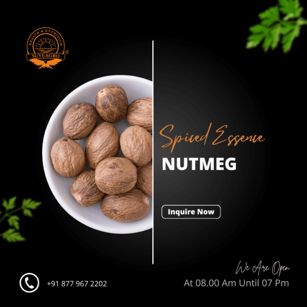 Nutmeg (Jaiphal) spice with whole nutmeg seeds and ground nutmeg powder.