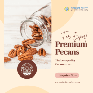 Premium American Pecan Nuts from Suveagro®