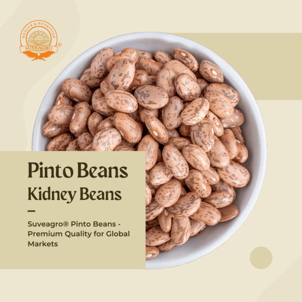 Suveagro® Pinto Beans displayed in a bowl, showing their speckled appearance.