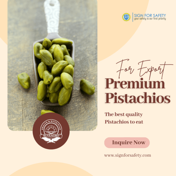 Premium Pistachios from India