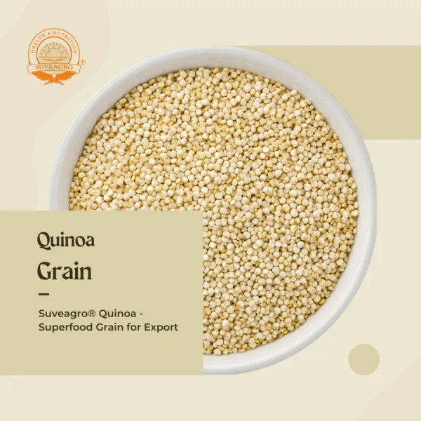 Premium quinoa sourced from Suveagro® for export.