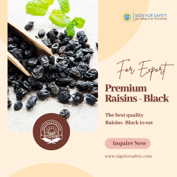 Premium Black Raisins from India