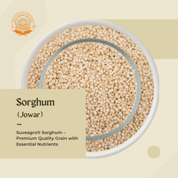 Premium sorghum (jowar/jwari) sourced from Suveagro® for export.