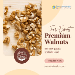 Premium Walnuts from India