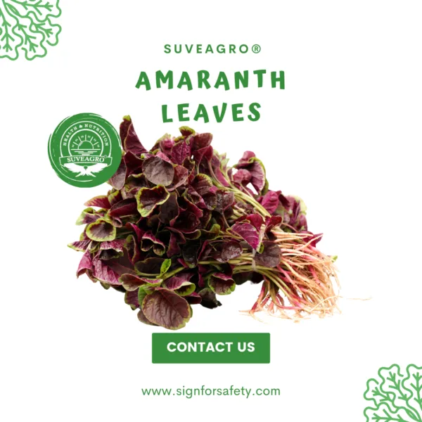 Fresh Amaranth Leaves from India