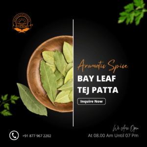 Dried Bay Leaves (Tej Patta) in bulk, an aromatic herb used to enhance the flavor of various dishes.