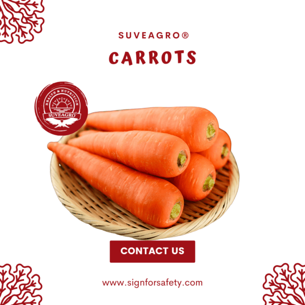 Fresh, vibrant carrots perfect for salads, soups, and healthy meals.