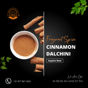 Cinnamon (Dalchini) bulk supply for sweet and savory culinary uses.