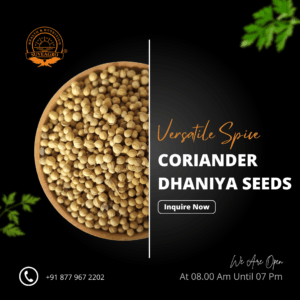 Coriander seeds bulk supply for culinary uses.