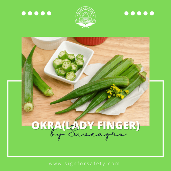 Fresh Lady Finger (Okra) from India