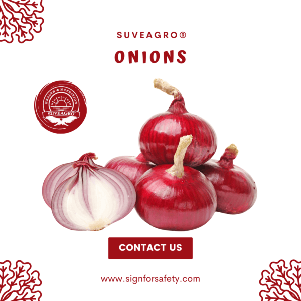 Buy Fresh Onions from Suveagro®