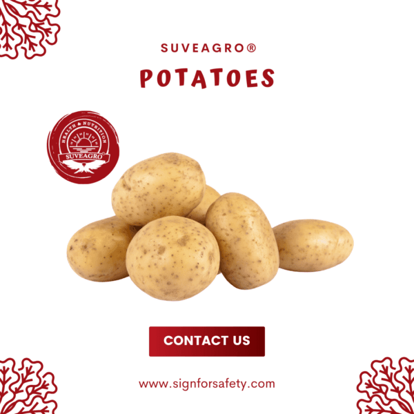 Fresh Potatoes from India