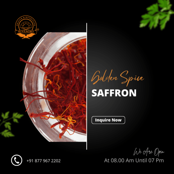 Premium Saffron threads, the golden spice known for its rich flavor and vibrant color.