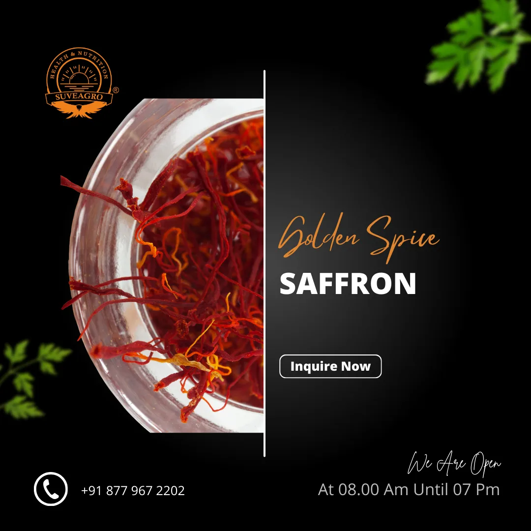 Premium Saffron threads, the golden spice known for its rich flavor and vibrant color.