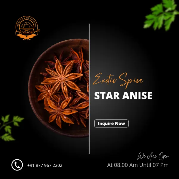 Whole star anise pods, a unique spice with a sweet, licorice-like flavor.