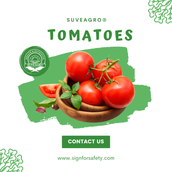 Organic Desi Tomatoes from India