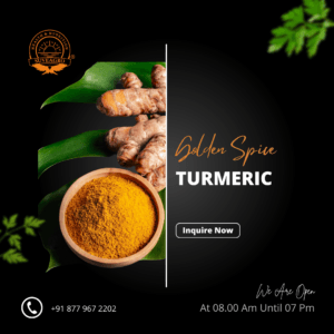 Turmeric finger, a vibrant yellow spice root used in cooking and traditional medicine.