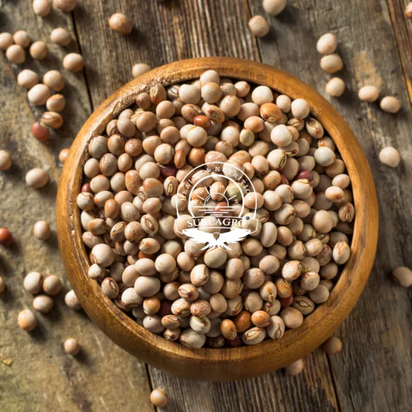 Supplying premium-quality Whole Pigeon Peas 🌱 Bulk orders from 20MT to 5000MT at unbeatable prices! Secure your supply today. 🌍